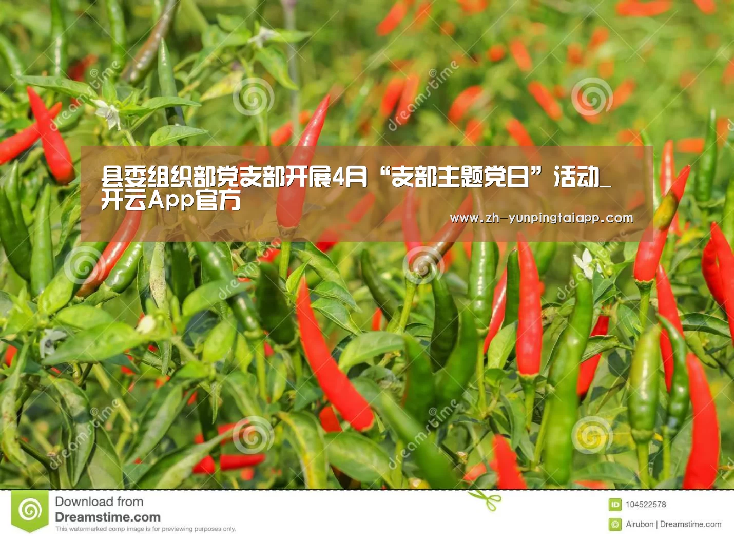 县委组织部党支部开展4月“支部主题党日”活动_开云App官方(图2) 开云App官方
