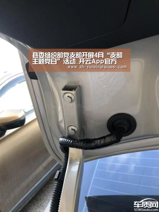 县委组织部党支部开展4月“支部主题党日”活动_开云App官方(图4) 开云App官方