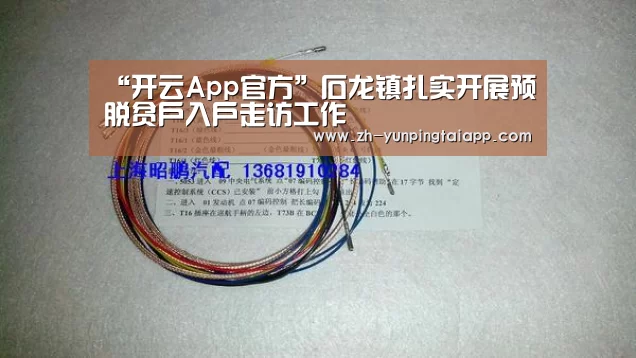 “开云App官方”石龙镇扎实开展预脱贫户入户走访工作(图4) 开云App官方