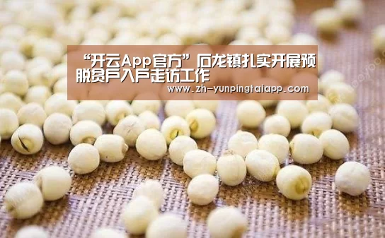 “开云App官方”石龙镇扎实开展预脱贫户入户走访工作(图2) 开云App官方