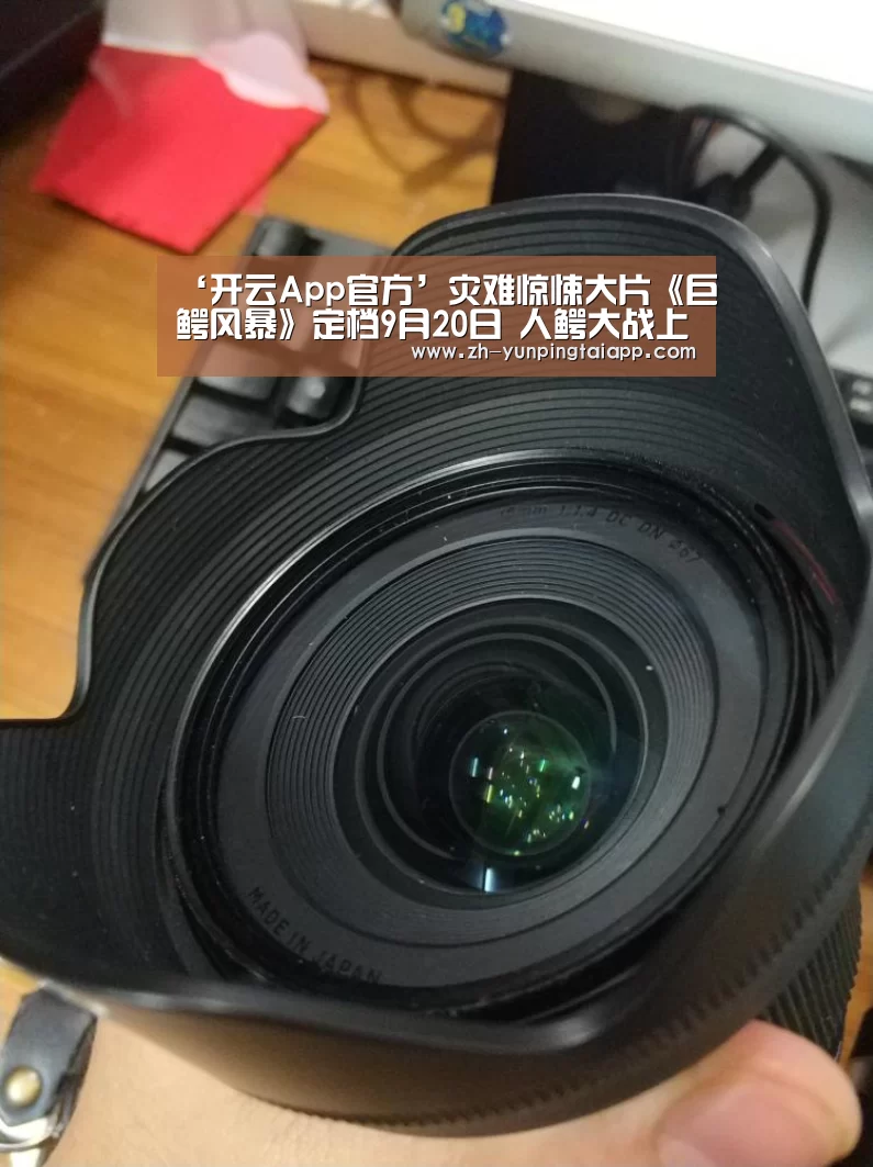 开云App官方