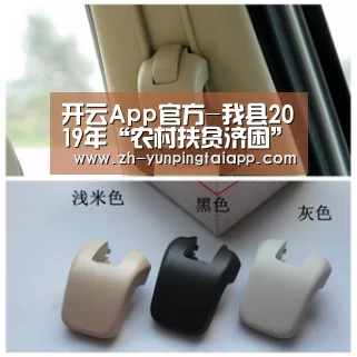 开云App官方-我县2019年“农村扶贫济困”“社区邻里守望”志愿服务系列活动圆满结束(图1) 开云App官方