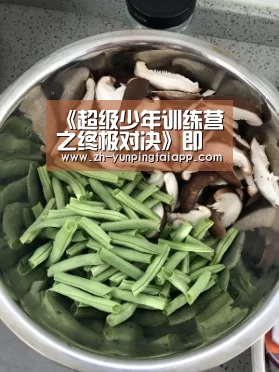 《超级少年训练营之终极对决》即将上映 献礼春节|开云App官方(图1) 开云App官方