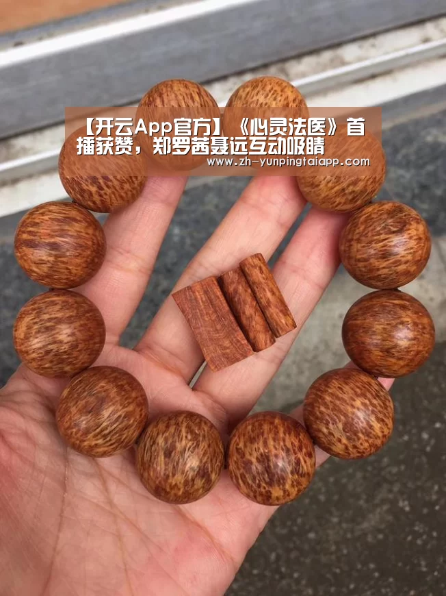 开云App官方