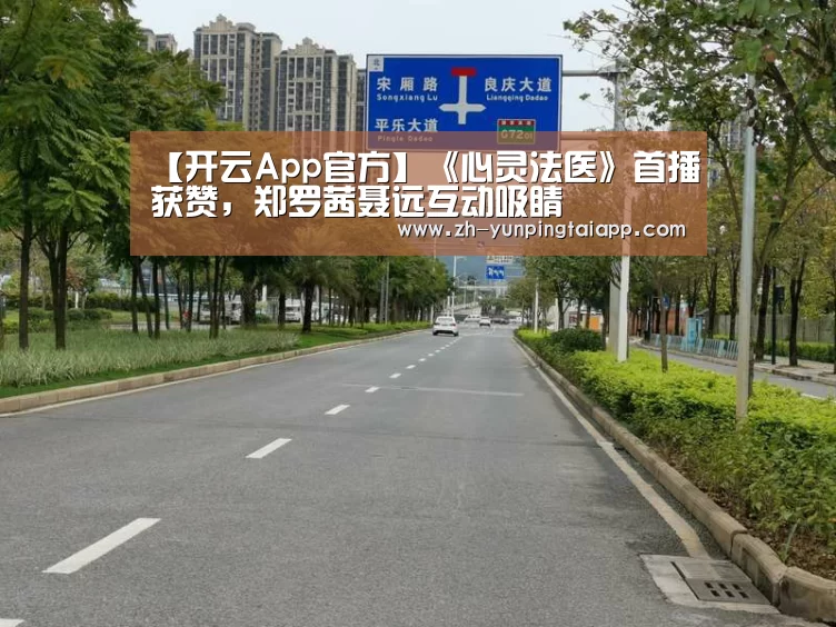 开云App官方