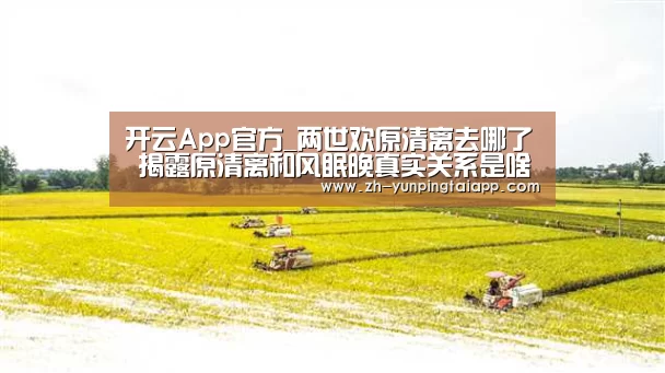 开云App官方_两世欢原清离去哪了 揭露原清离和风眠晚真实关系是啥(图1) 开云App官方