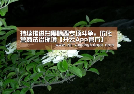 持续推进扫黑除恶专项斗争,优化营商法治环境【开云App官方】(图1) 开云App官方