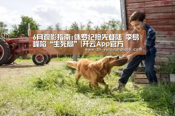 开云App官方