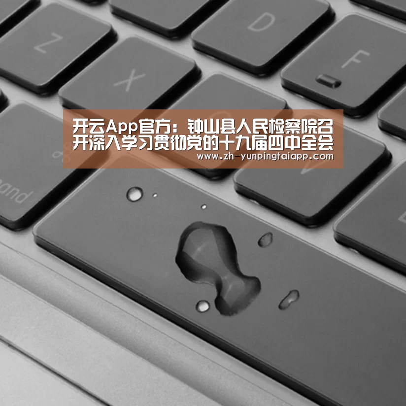 开云App官方