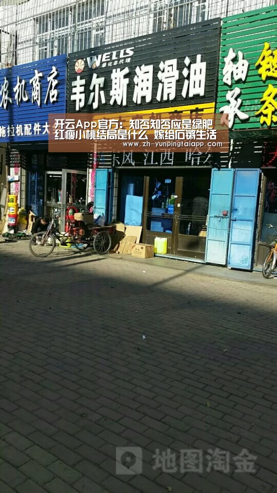开云App官方